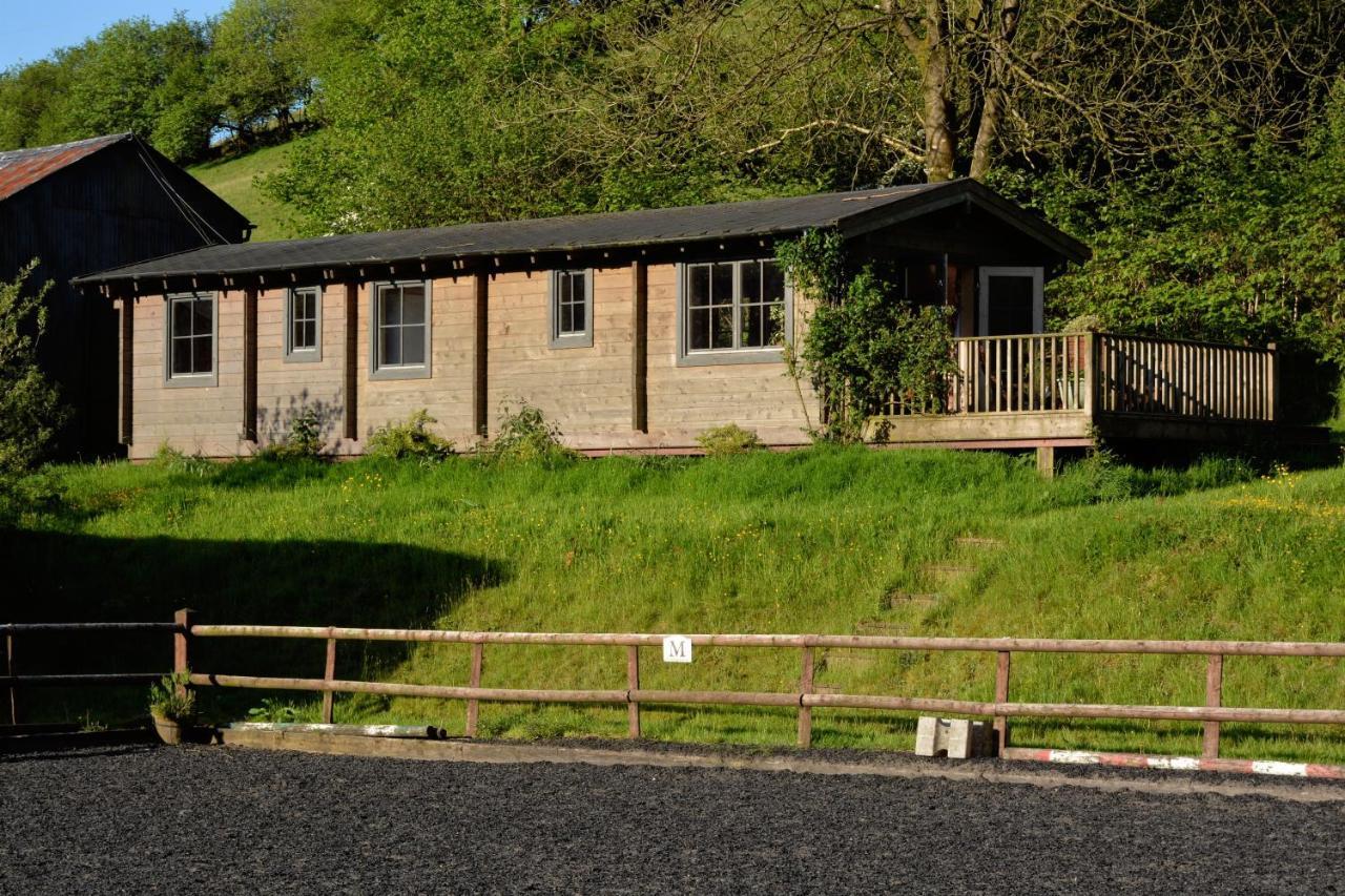 Log Cabin Villa Brecon Exterior foto